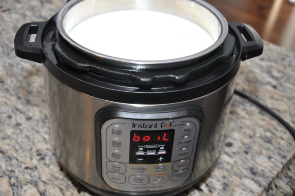 Boil milk in Instant Pot