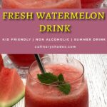 watermelon soda pin