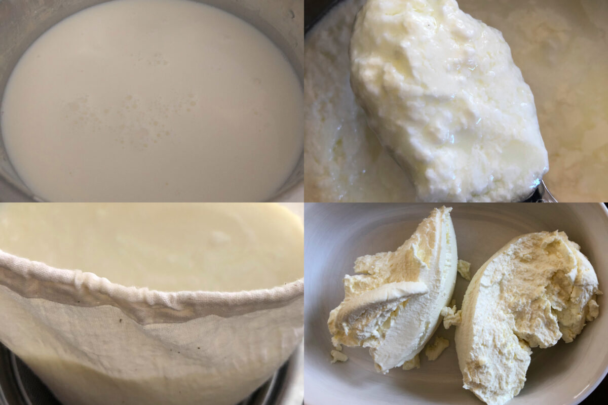 step by step greek yogurt in instant pot