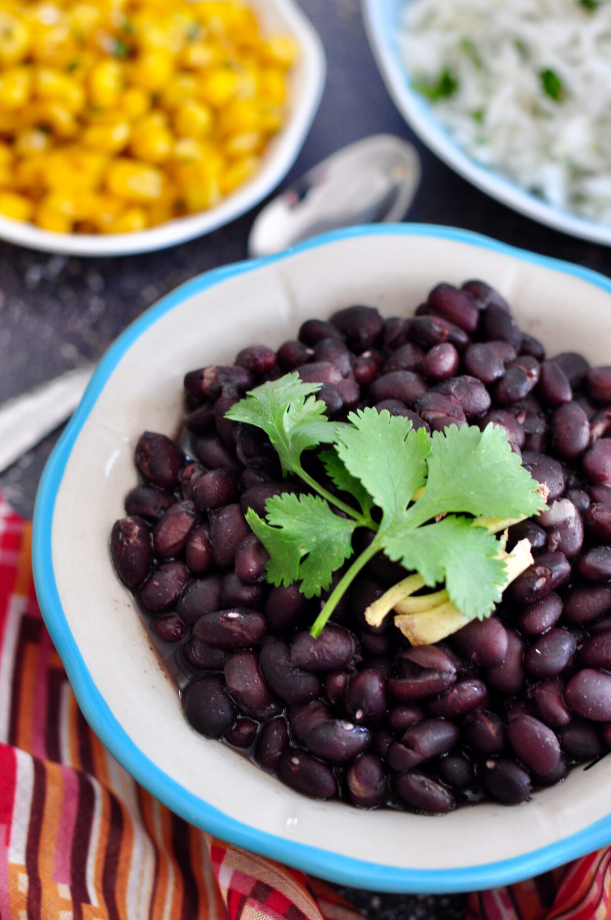 black beans in a bowl garnished with cilantro