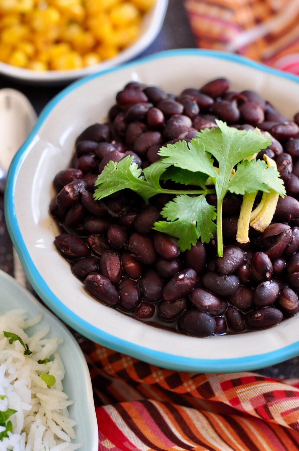 black beans in a bowl garnished with cilantro
