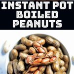 instant pot boiled peanuts pin.