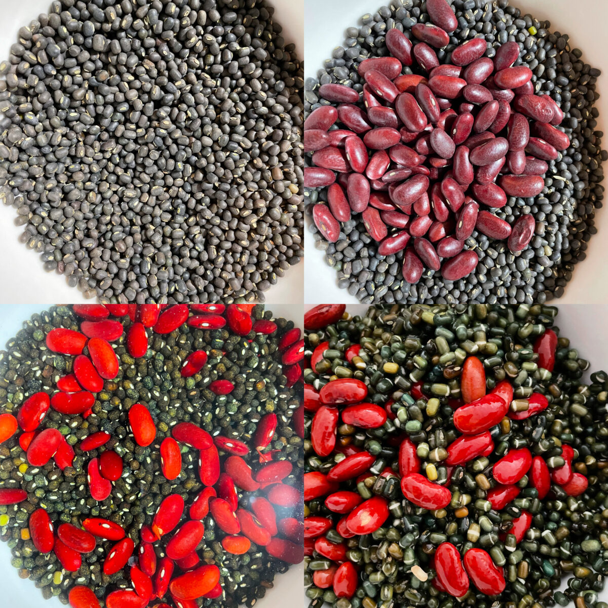collage of 4 images of unsoaked urad dal, and rajma beans and soaked ones.