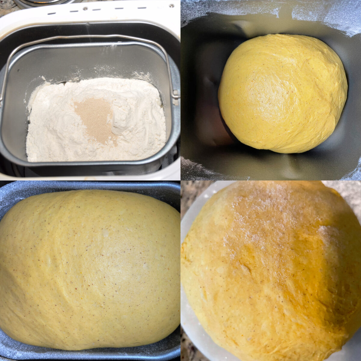 making pumpkin rolls dough in bread machine.