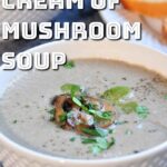 cream of mushroom soup.