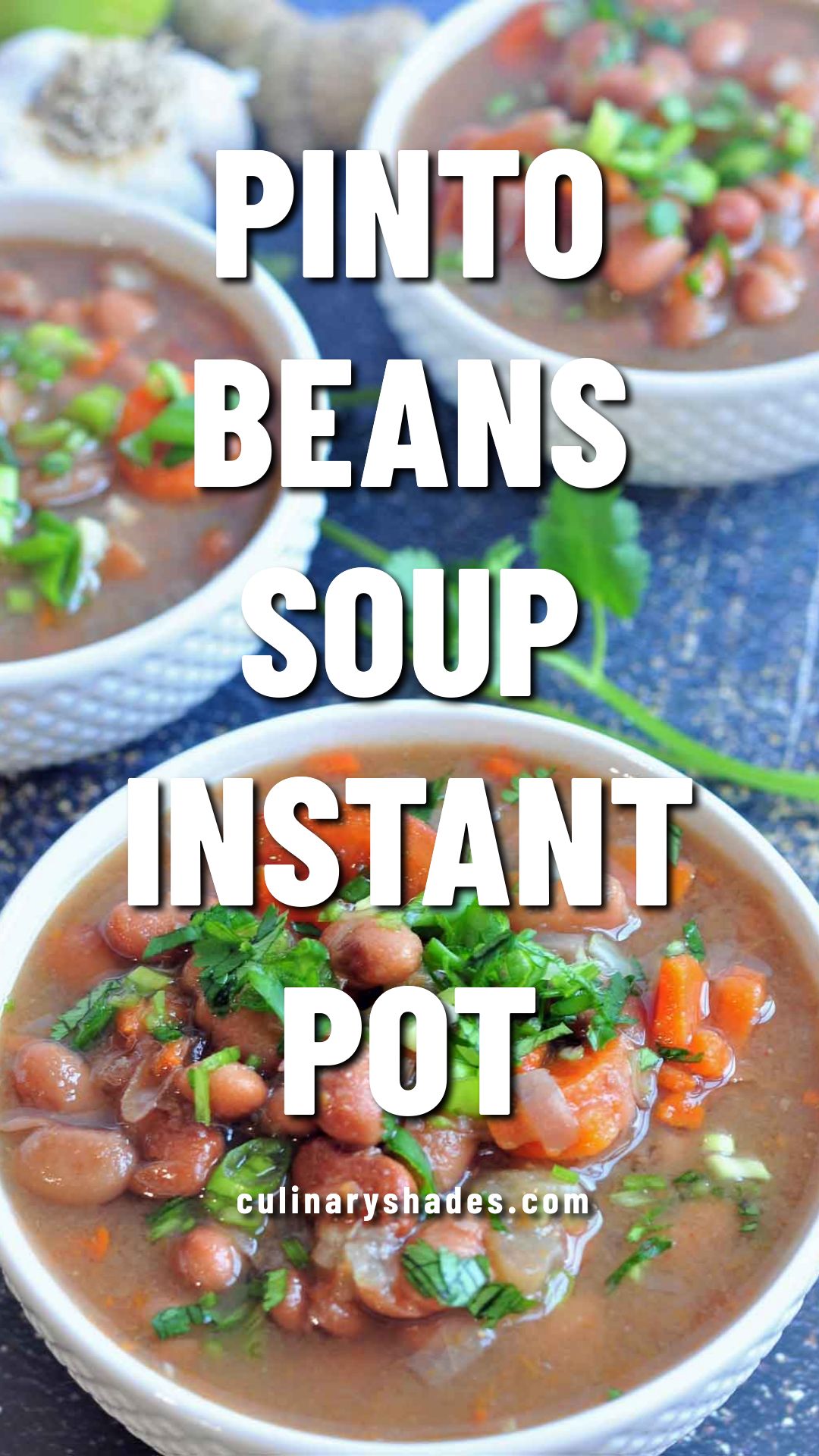 Instant Pot Pinto Beans Soup.