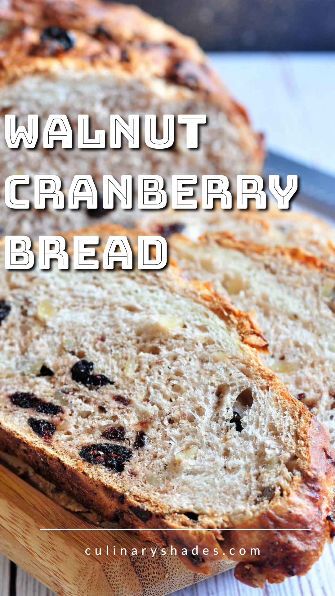 Cranberry Walnut Bread Culinary Shades