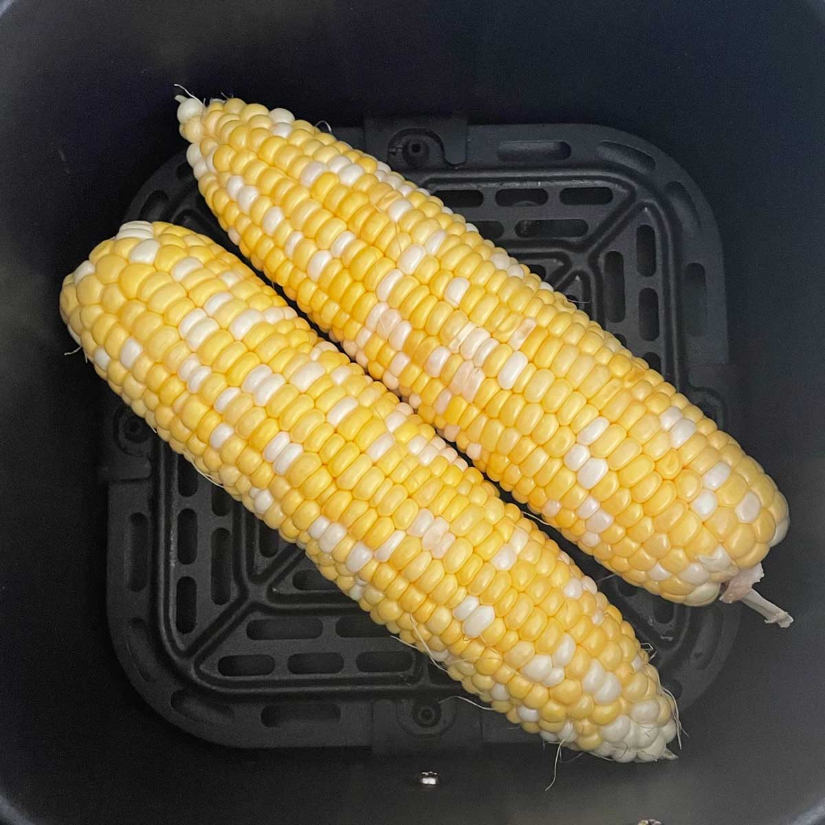 Corn on the cob in air fryer tub.