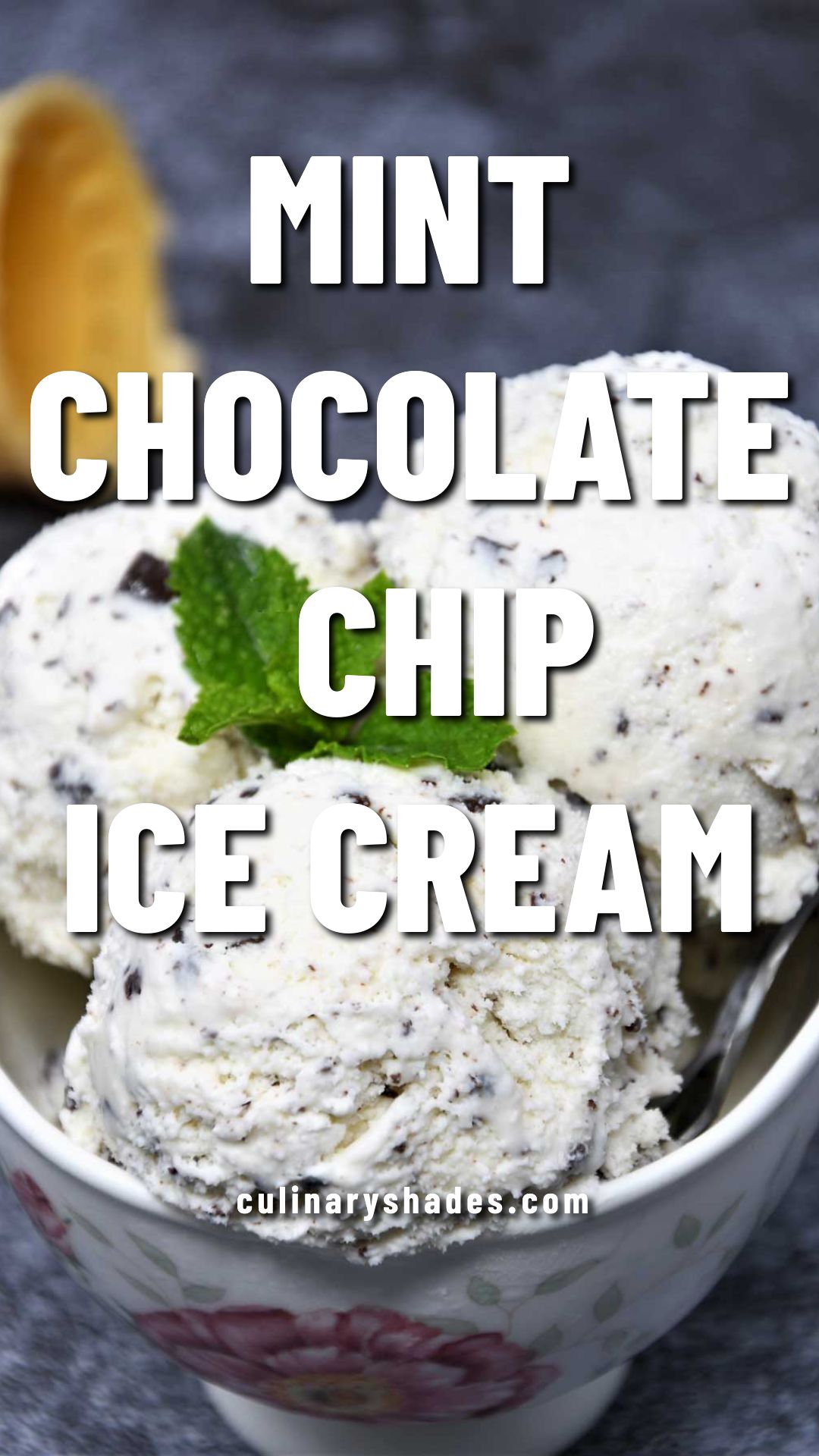 Mint chocolate chip ice cream scoops.