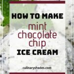 Mint chocolate chip ice cream scoops.