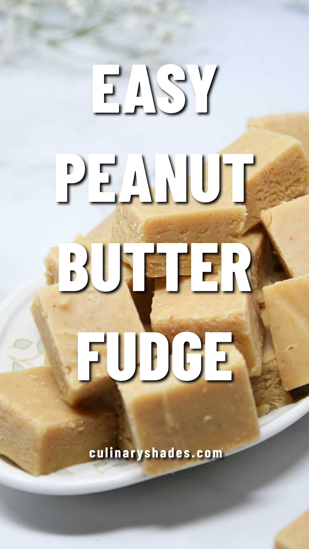 Peanut butter fudge cubes in a plate.