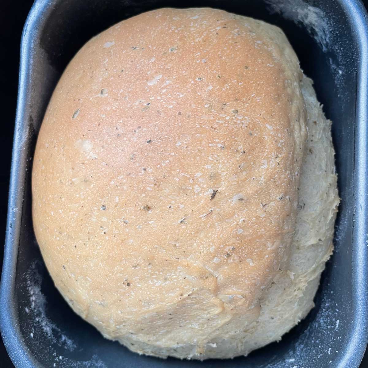 Herb bread baked in bread machinie.