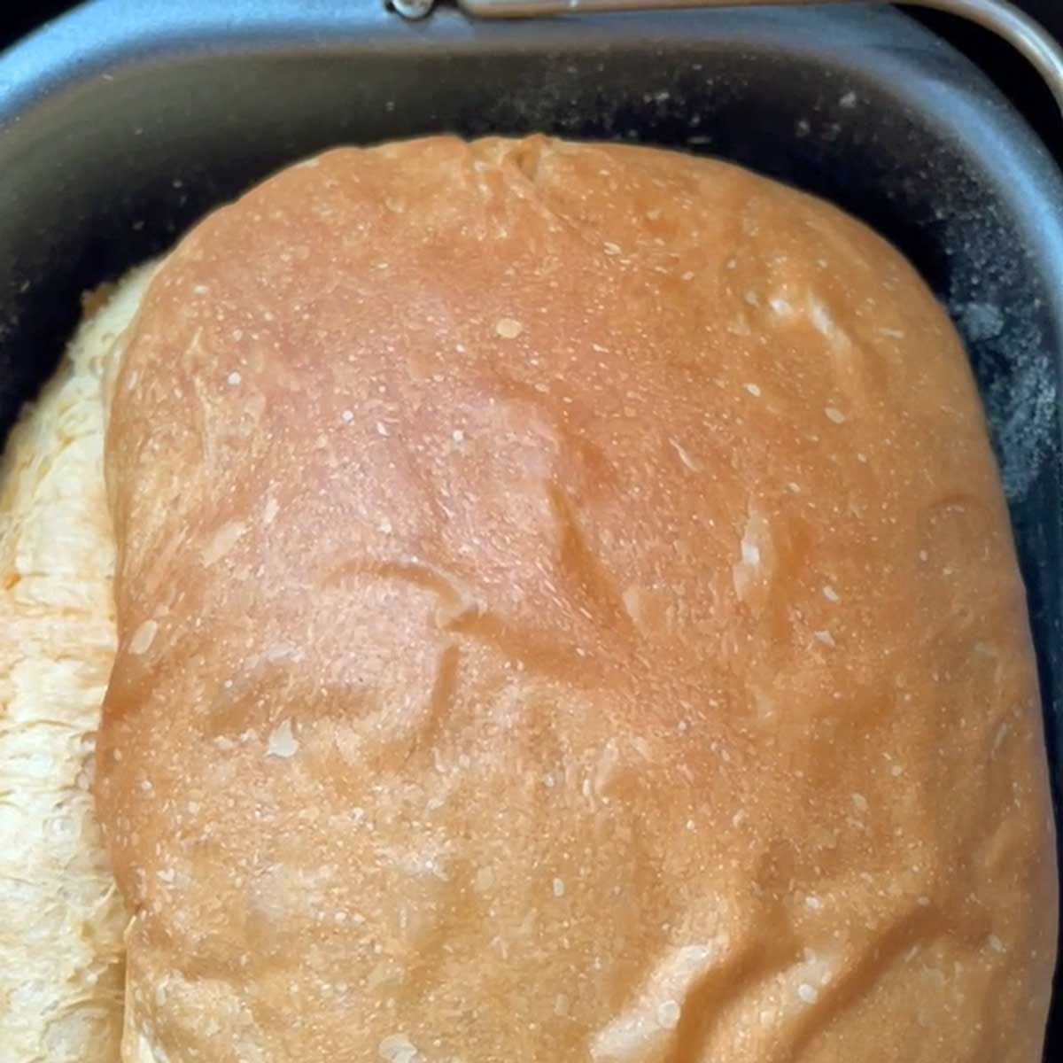 Buttermilk bread baked.