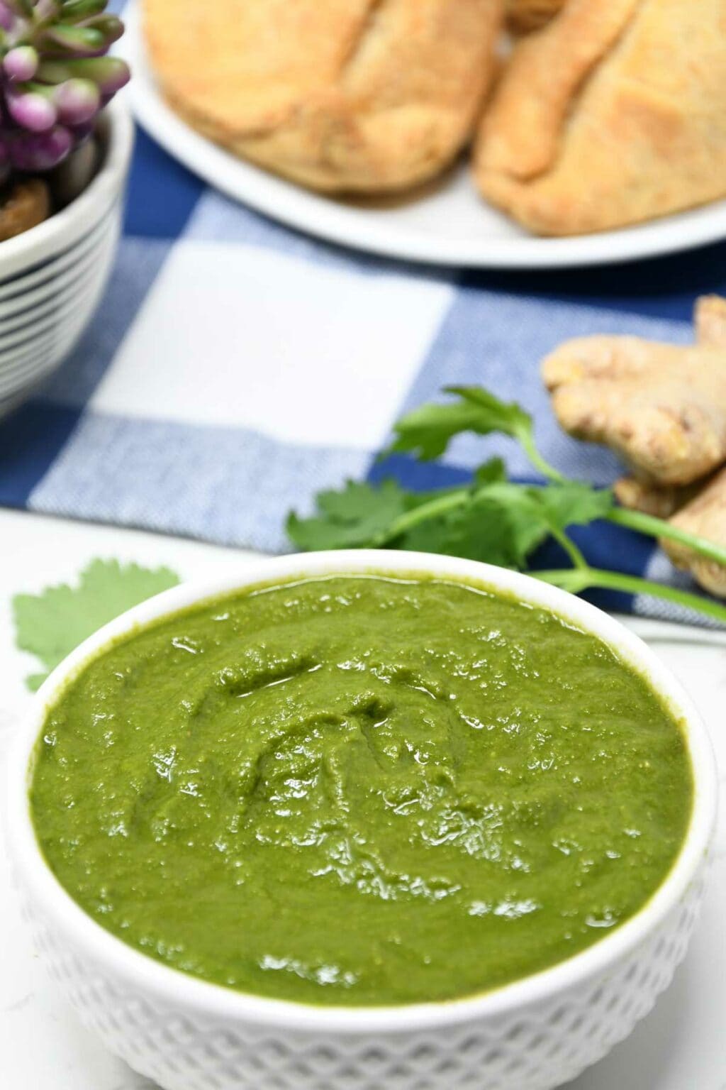 Cilantro Chutney Culinary Shades