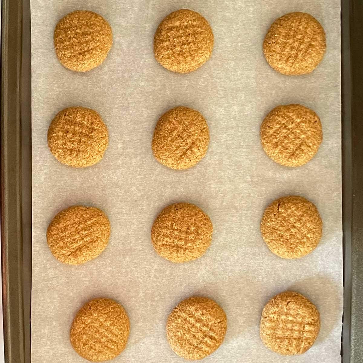 Almond-peanut-butter cookies ready to be baked.