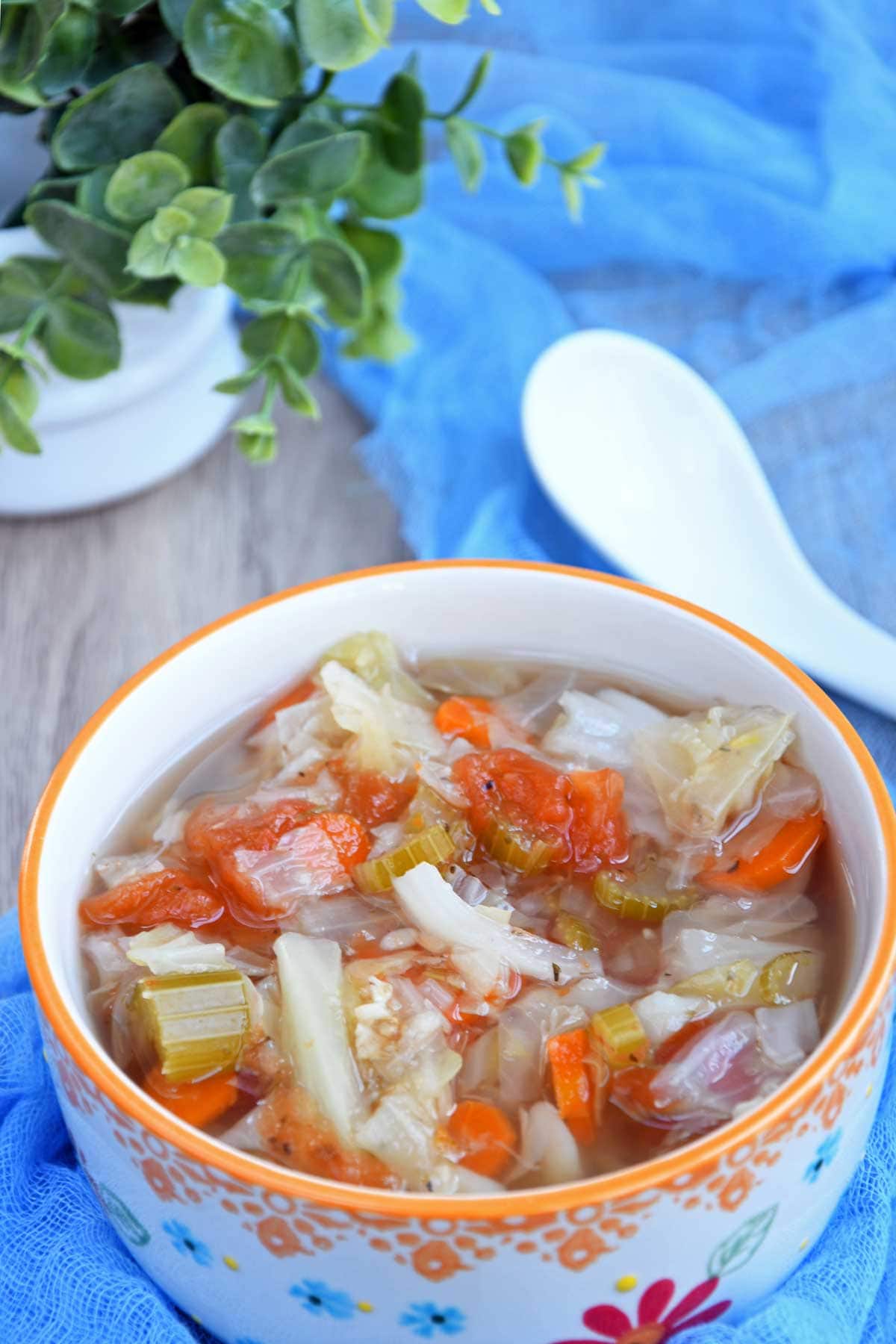 Cabbage soup served in a bowl.