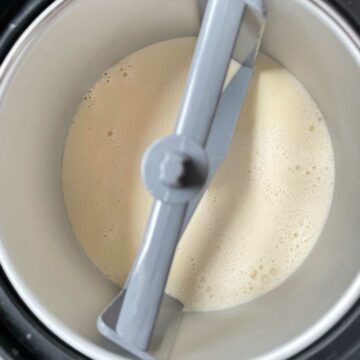 Kaju Draksh (Cashew Raisin) Ice Cream - Culinary Shades