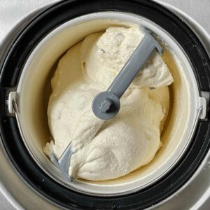 Kaju Draksh (Cashew Raisin) Ice Cream - Culinary Shades