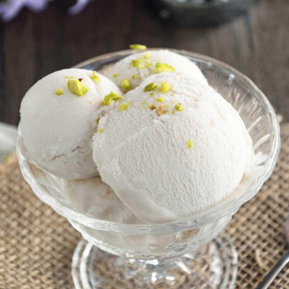 Coconut Milk Ice Cream – Culinary Shades