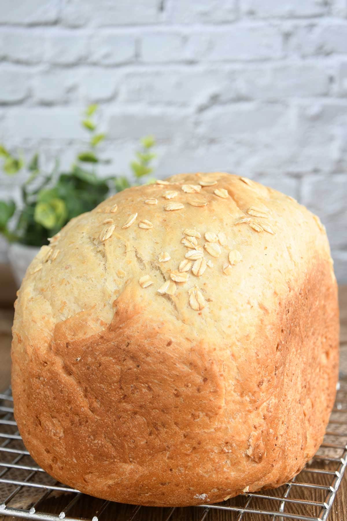 Oatmeal bread loaf on a cooling rack.