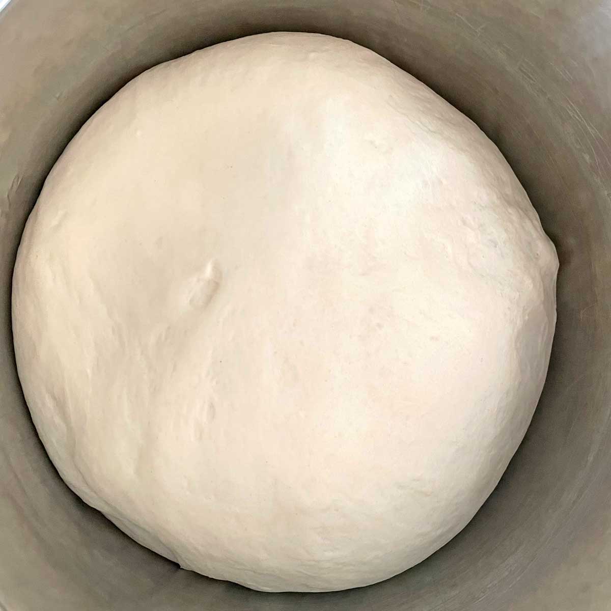 Pizza dough rise in a container.