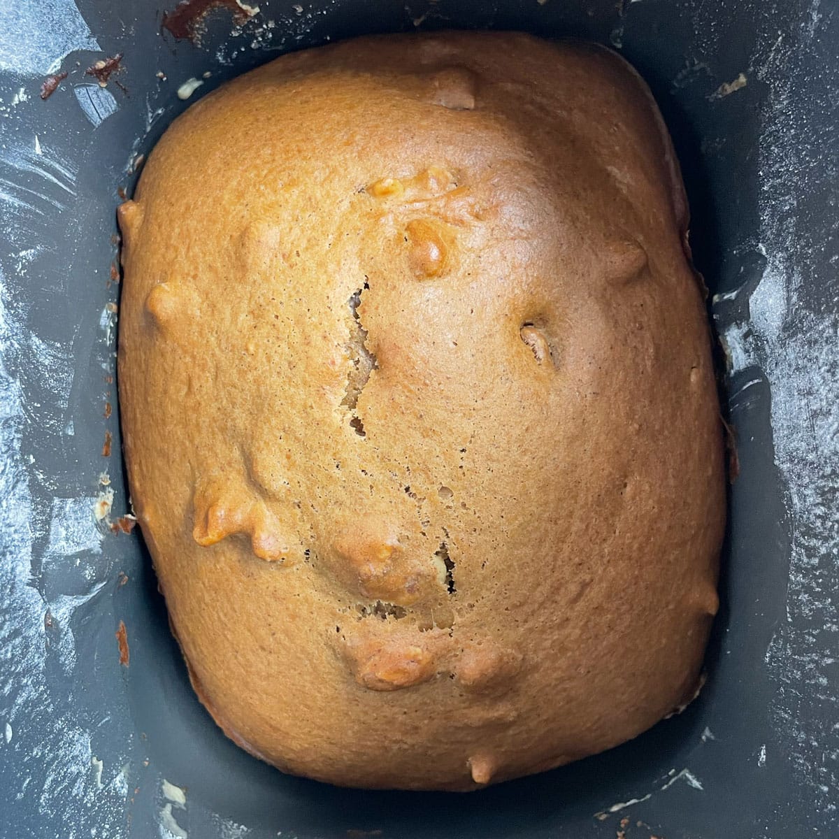 Baked pumpkin bread in bread pan.