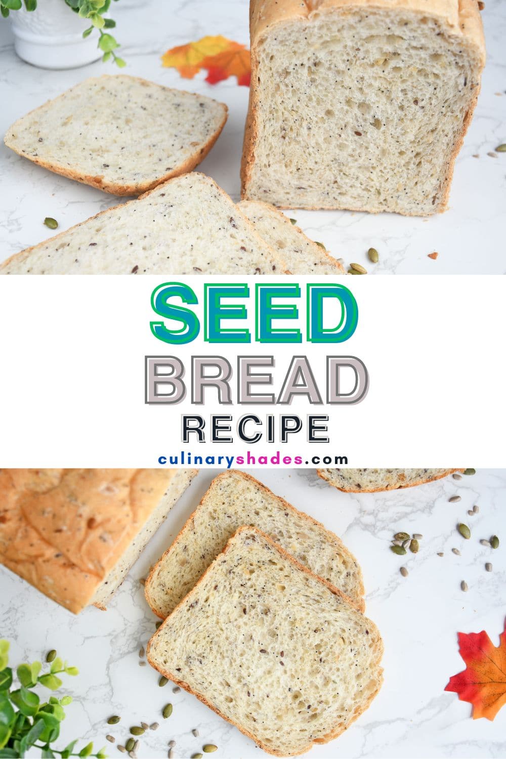 Seed bread slices.