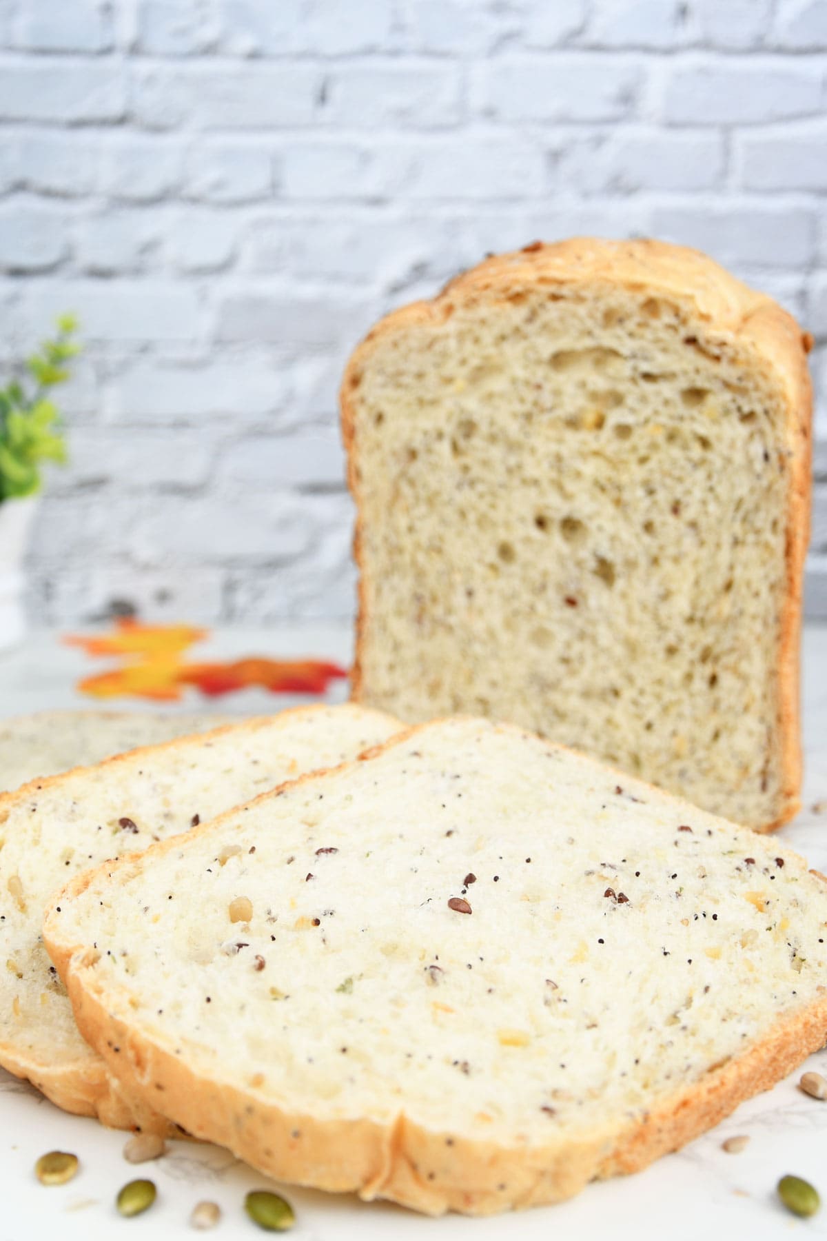 Seed bread slices.